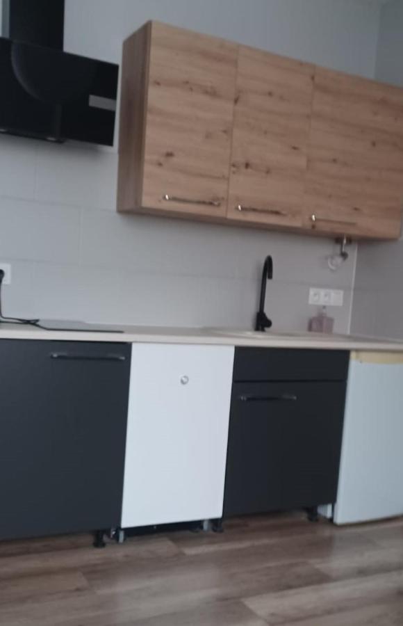 Apartamenty W Starym Kinie Świeradów-Zdrój Εξωτερικό φωτογραφία